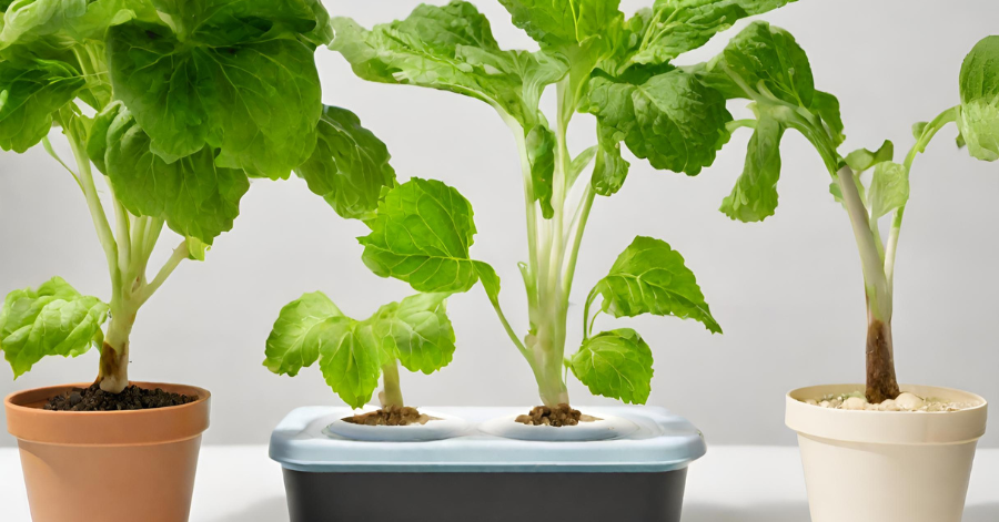 3 Types of Hydroponic Systems